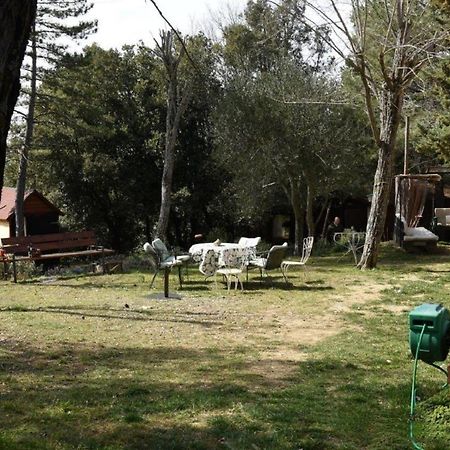 Mdq - Azienda Agricola Apartman Castiglione dʼOrcia Kültér fotó