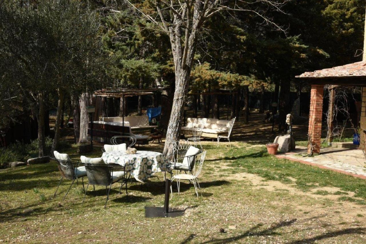 Mdq - Azienda Agricola Apartman Castiglione dʼOrcia Kültér fotó
